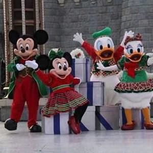 Meet your Posher, Timberly